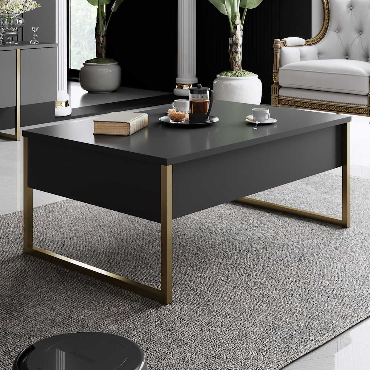Coffee Tables - Rectangular Coffee Table Anthracite Luxury 90x60 - Golden Frame - Dimehouse