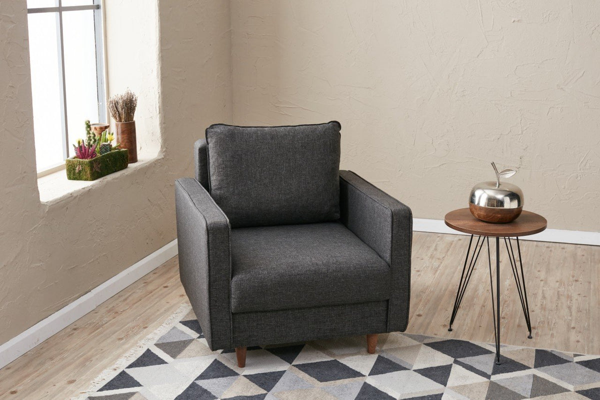 Armchairs - Modern rural armchair anthracite fabric Eva - Dimehouse