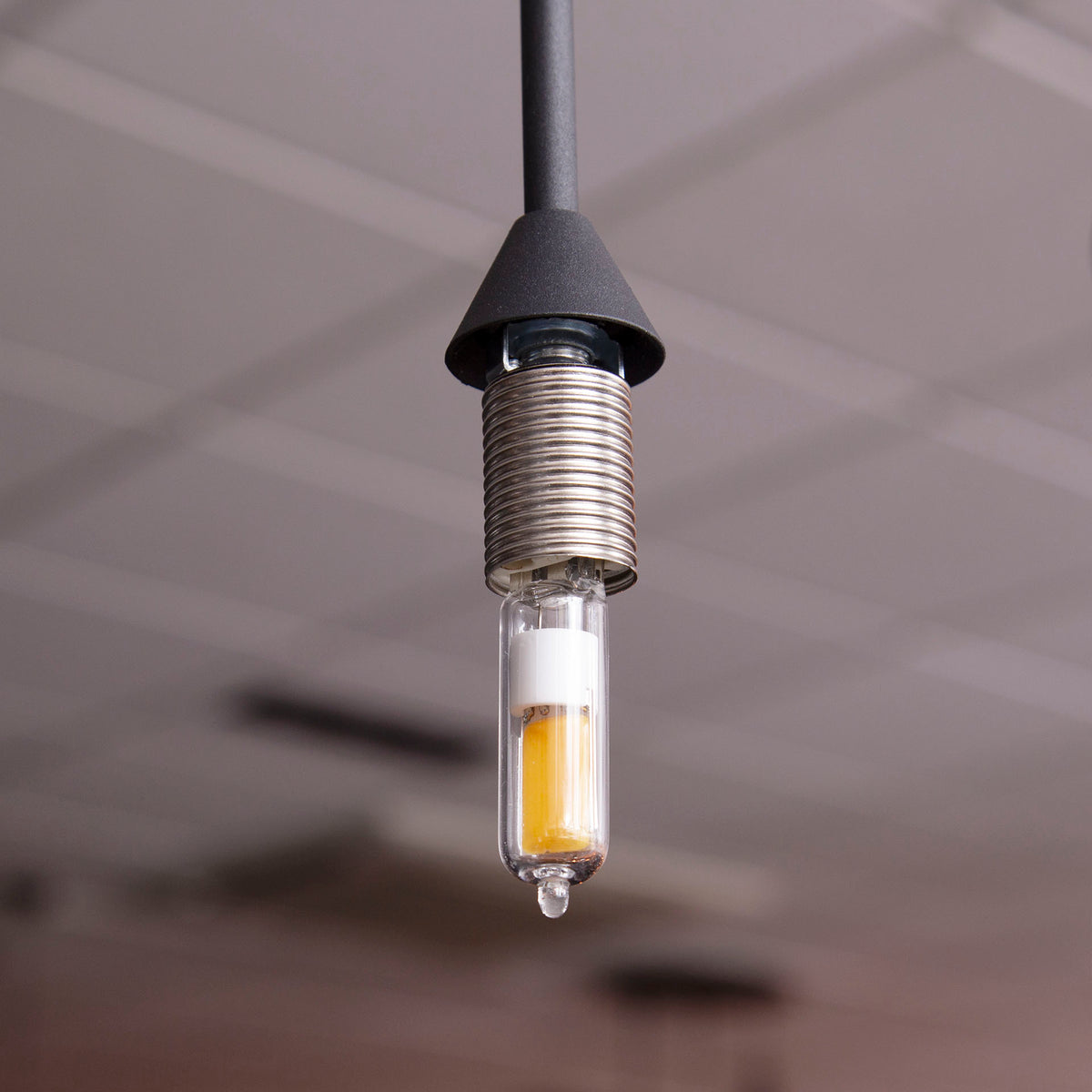 Light sources - Light source LED G9 transparent glass - Dimehouse