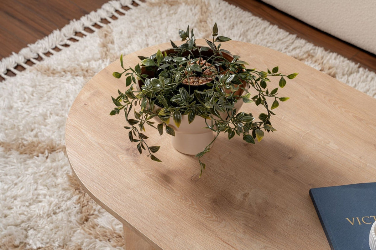 Coffee tables - Oval coffee table oak melamine - Japandi - 119x60 cm - Sota - Dimehouse