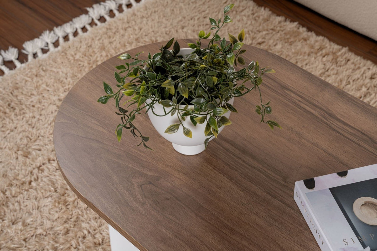Coffee tables - Coffee table walnut white melamine arc shape Koda 119x60 cm - Dimehouse