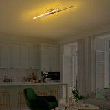 Ceiling lamps - Ceiling lamp Gold Metal Hawk - Dimehouse