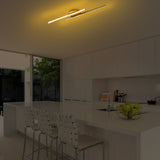 Ceiling lamps - Ceiling lamp Gold Metal Hawk - Dimehouse
