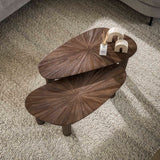 Coffee tables - Coffee table set of 2 Myla Organic Teak Wood Brown - Japandi - Dimehouse