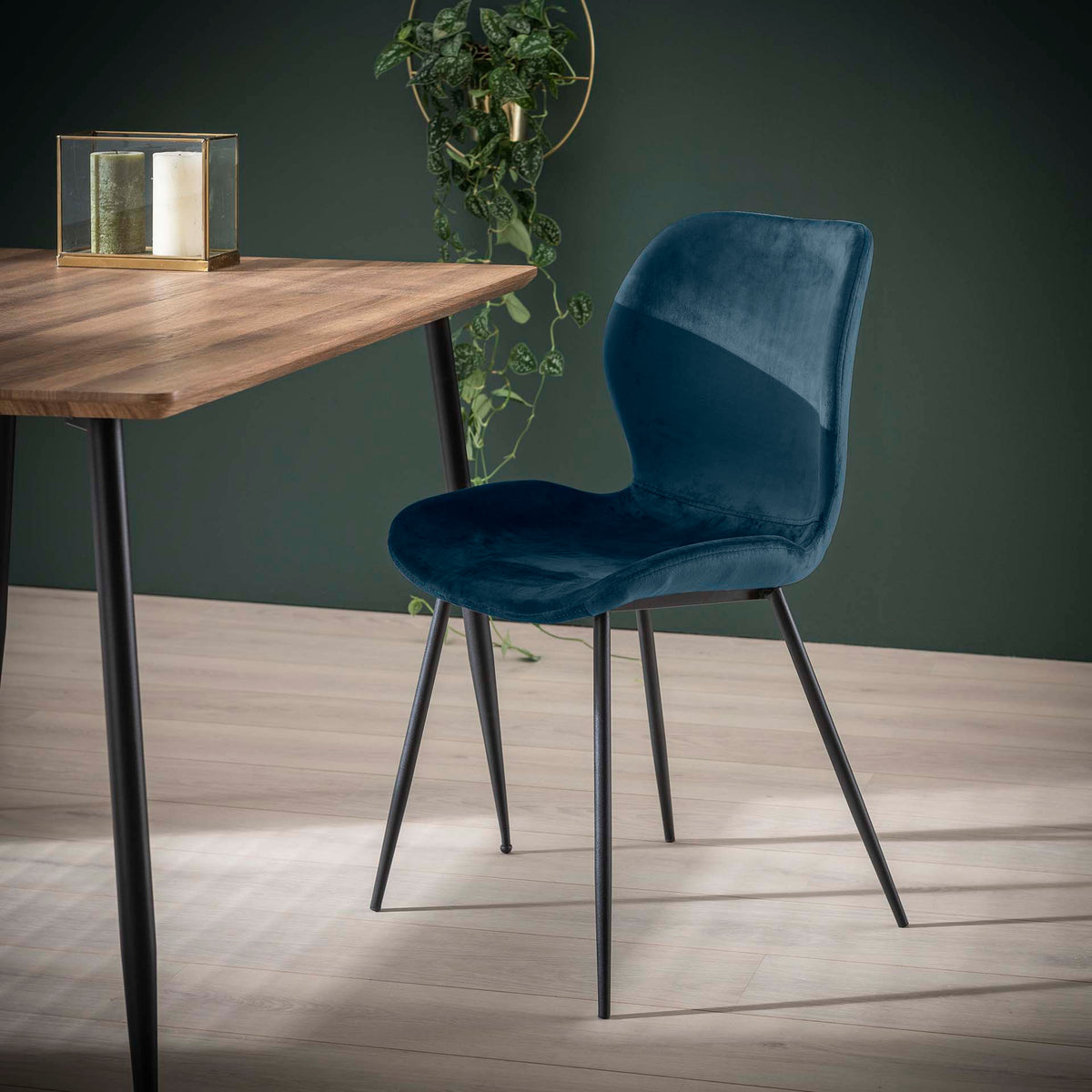 Dining room chairs - Chic Dining room chair Argo Velvet Blue - Without Armrests - Dimehouse