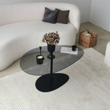 Coffee Tables - Organic Design Coffee Table Tinted Glass Torpo - Black Metal Frame - Dimehouse