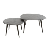 Coffee Tables - Organic Coffee Table Set of 2 Conner Ceramic Look Gray - Dimehouse