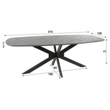 Dining tables - Mysha Danish Oval Melamine dining table 215x105 cm - Dimehouse