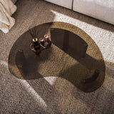 Organic coffee table smoked glass table top and oak wood-look legs top view