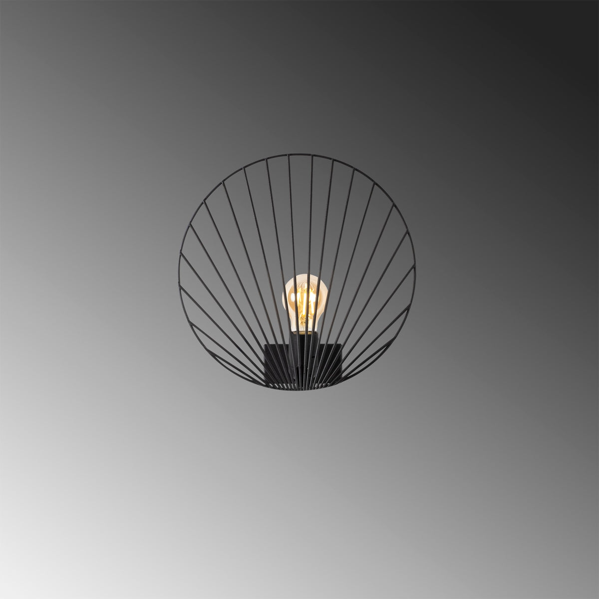 Wall lamps - Wall lamp Black Metal Arbor - Dimehouse