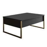 Coffee Tables - Rectangular Coffee Table Anthracite Luxury 90x60 - Golden Frame - Dimehouse