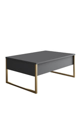 Furniture Sets - Furniture Set Anthracite Luxury - Coffee Table + TV Furniture + Sideboard - Golden Frame - Dimehouse