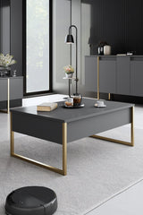 Furniture Sets - Furniture Set Anthracite Luxury - Coffee Table + TV Furniture + Sideboard - Golden Frame - Dimehouse