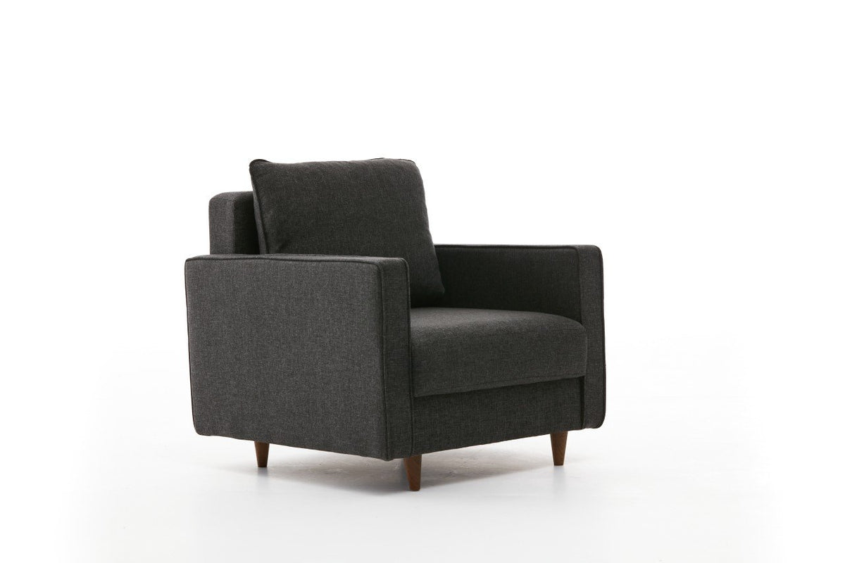 Armchairs - Modern rural armchair anthracite fabric Eva - Dimehouse