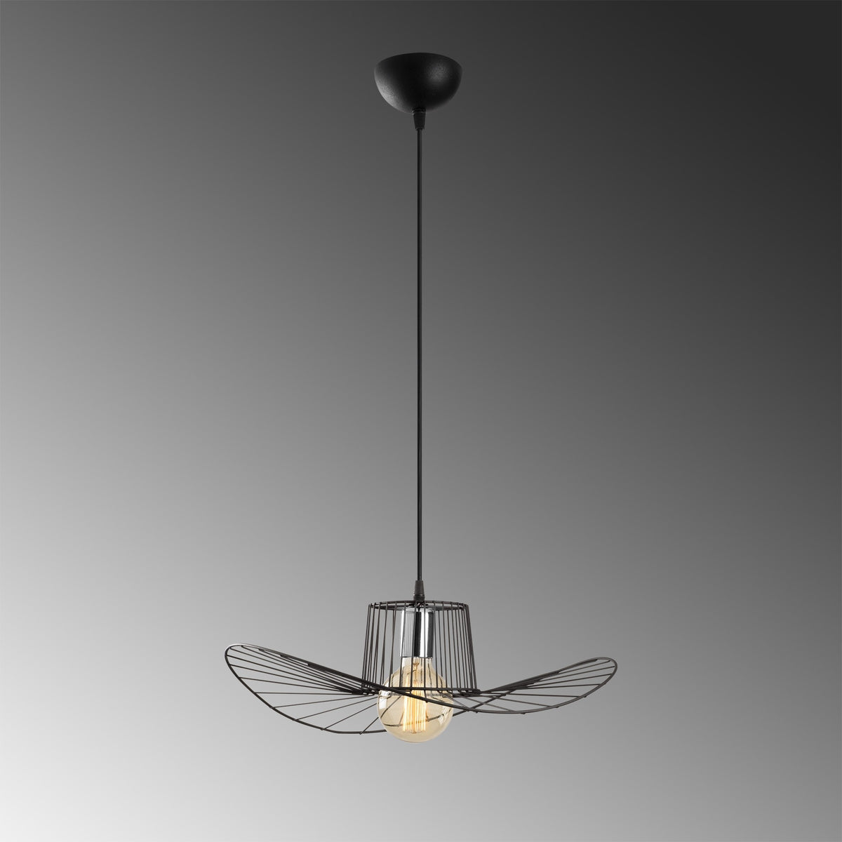 Hanging lamps - Hanging lamp 1 - light Black Metal Predator - Dimehouse